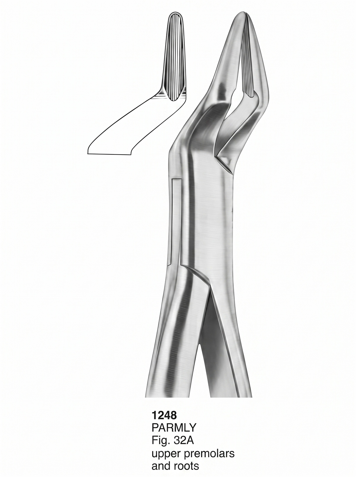 Extracting forceps American Pattern