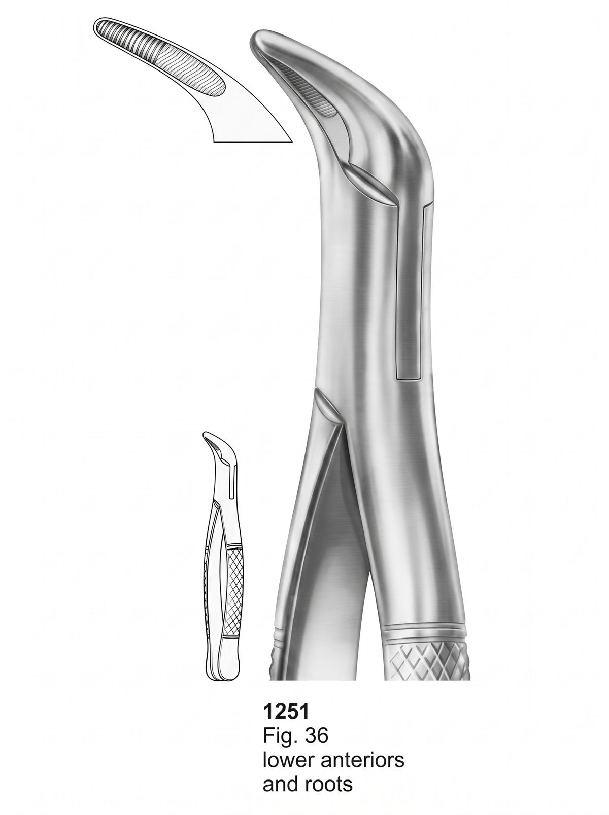 1251 Extracting forceps American Pattern