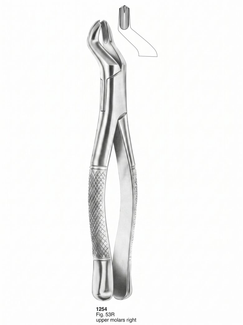 Extracting forceps American Pattern