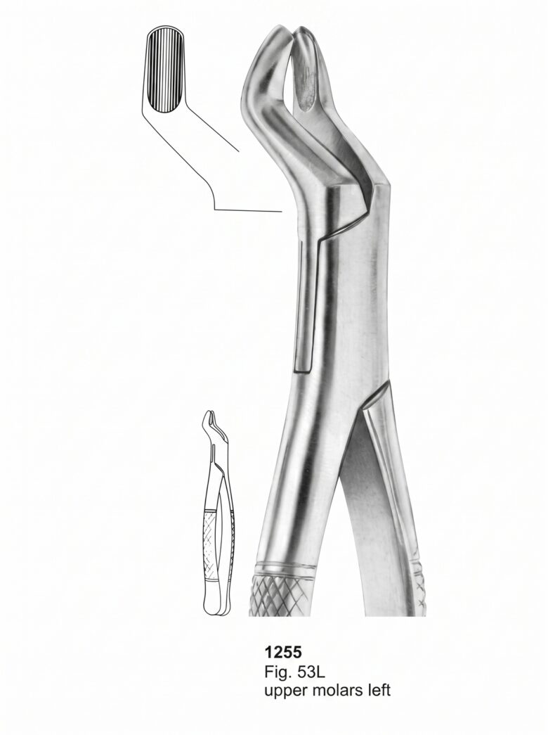 1255 Extracting forceps American Pattern