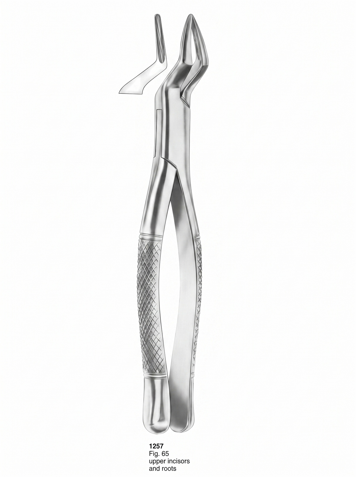 1257 Extracting forceps American Pattern