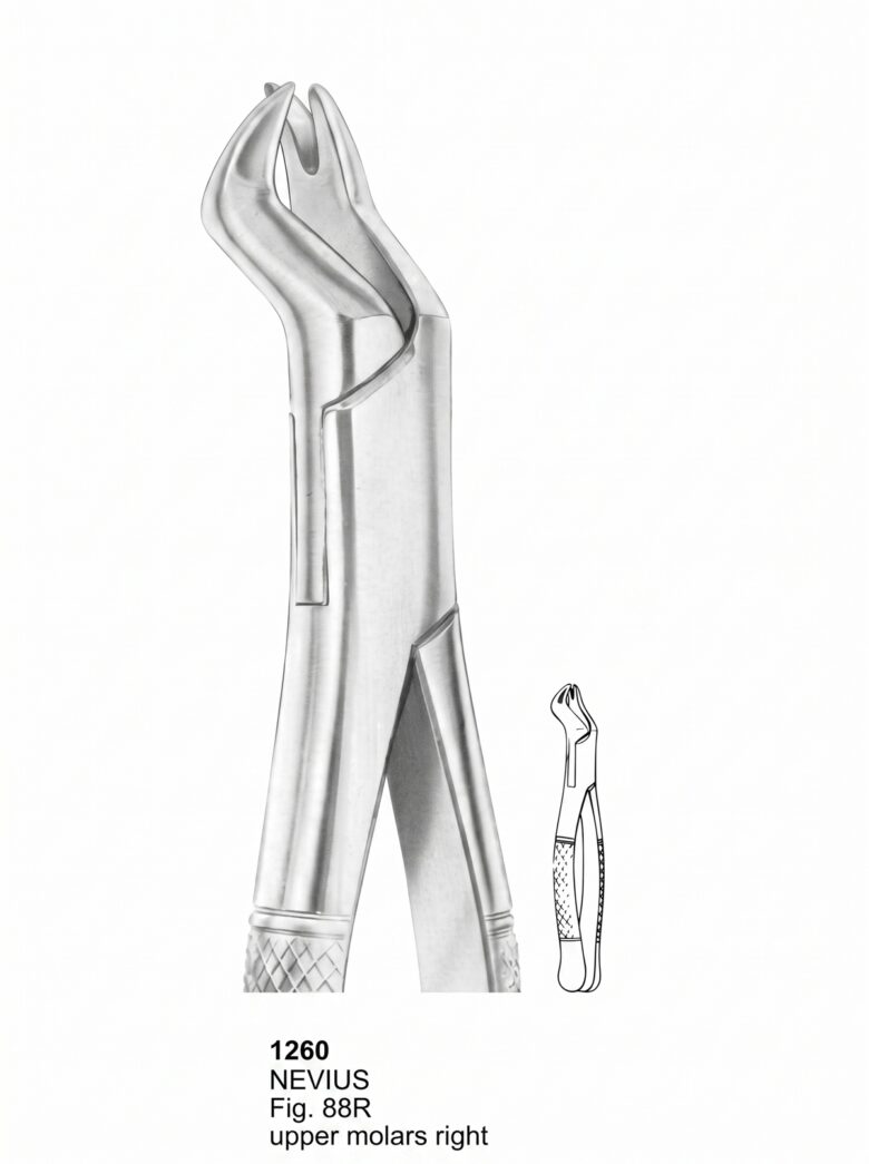 1260 Extracting forceps American Pattern
