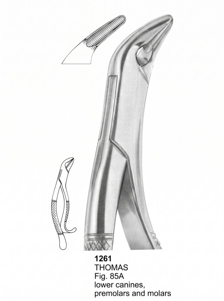 Extracting forceps American Pattern