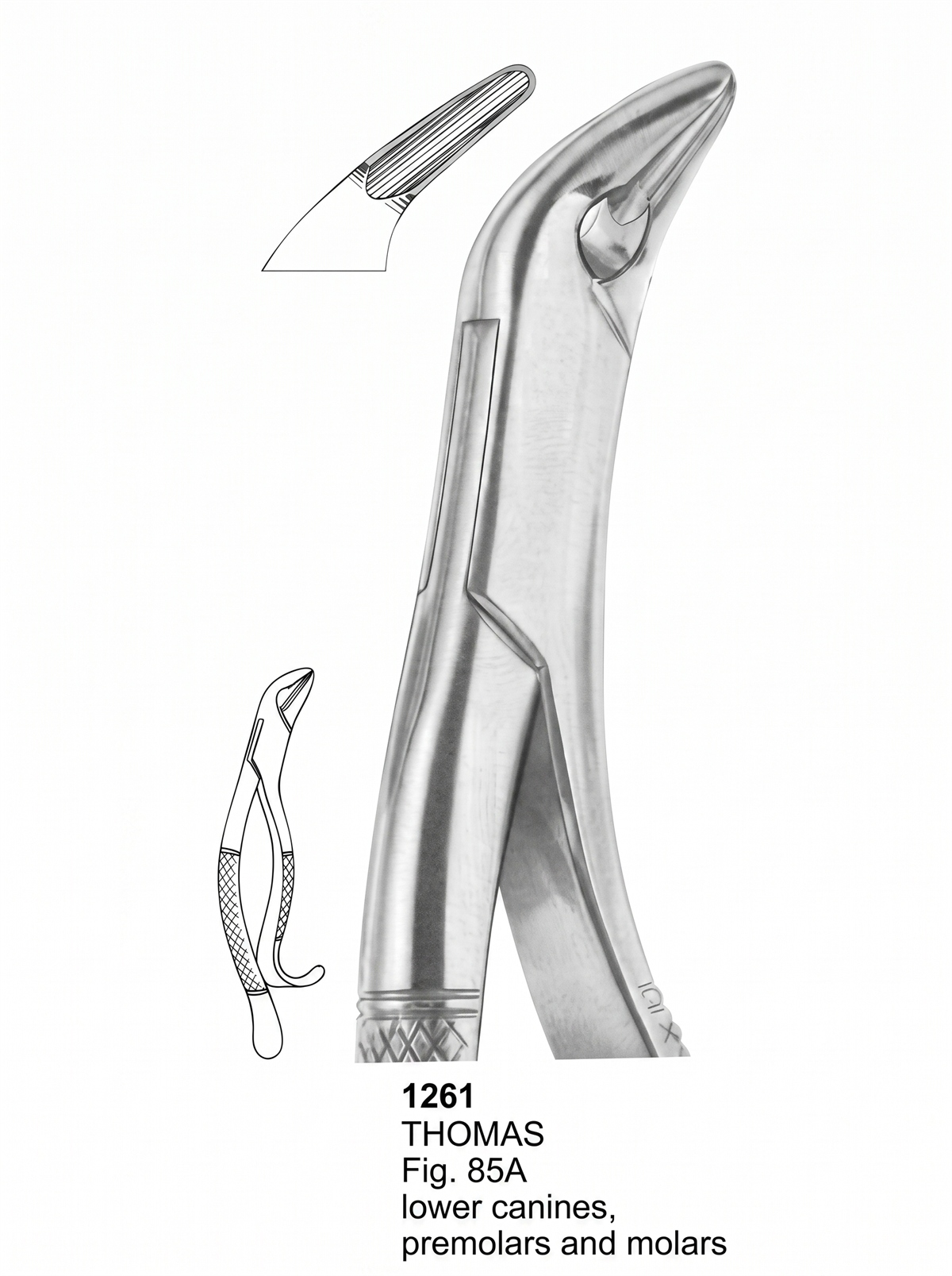 Extracting forceps American Pattern