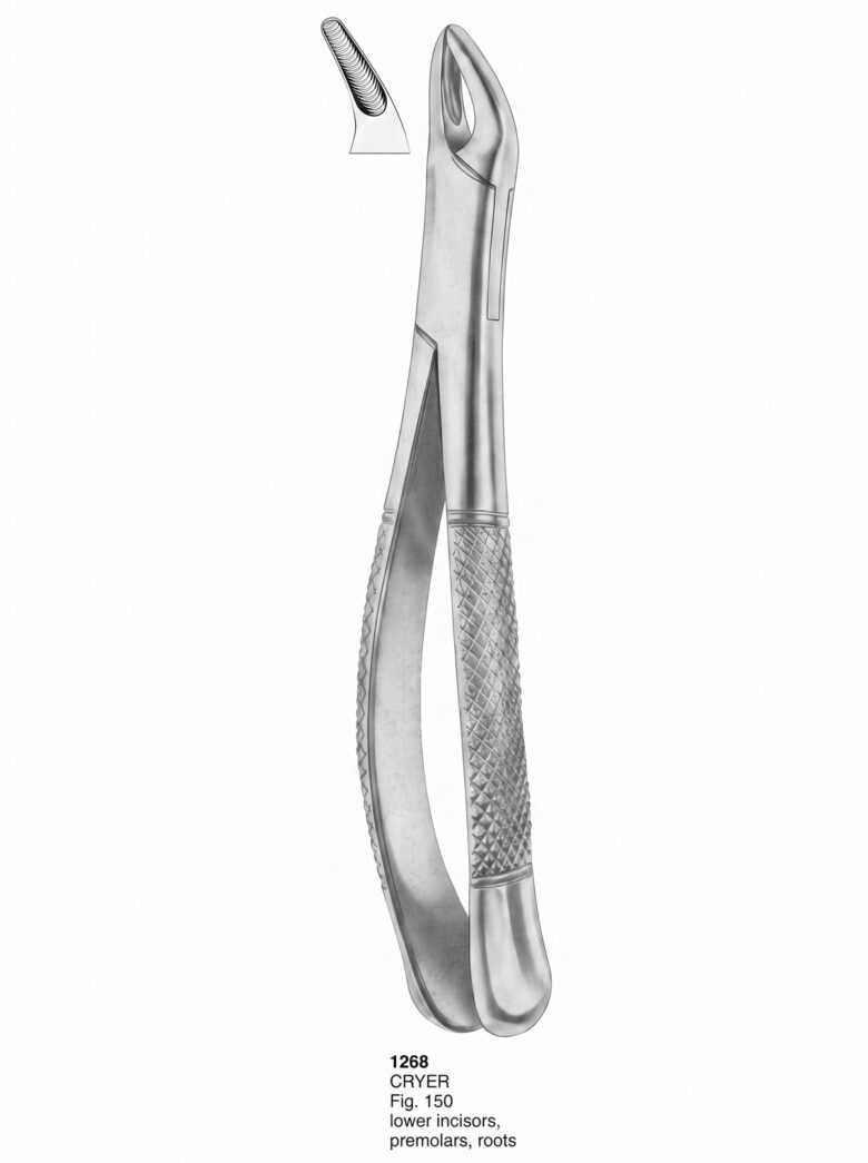 1268 Extracting forceps American Pattern