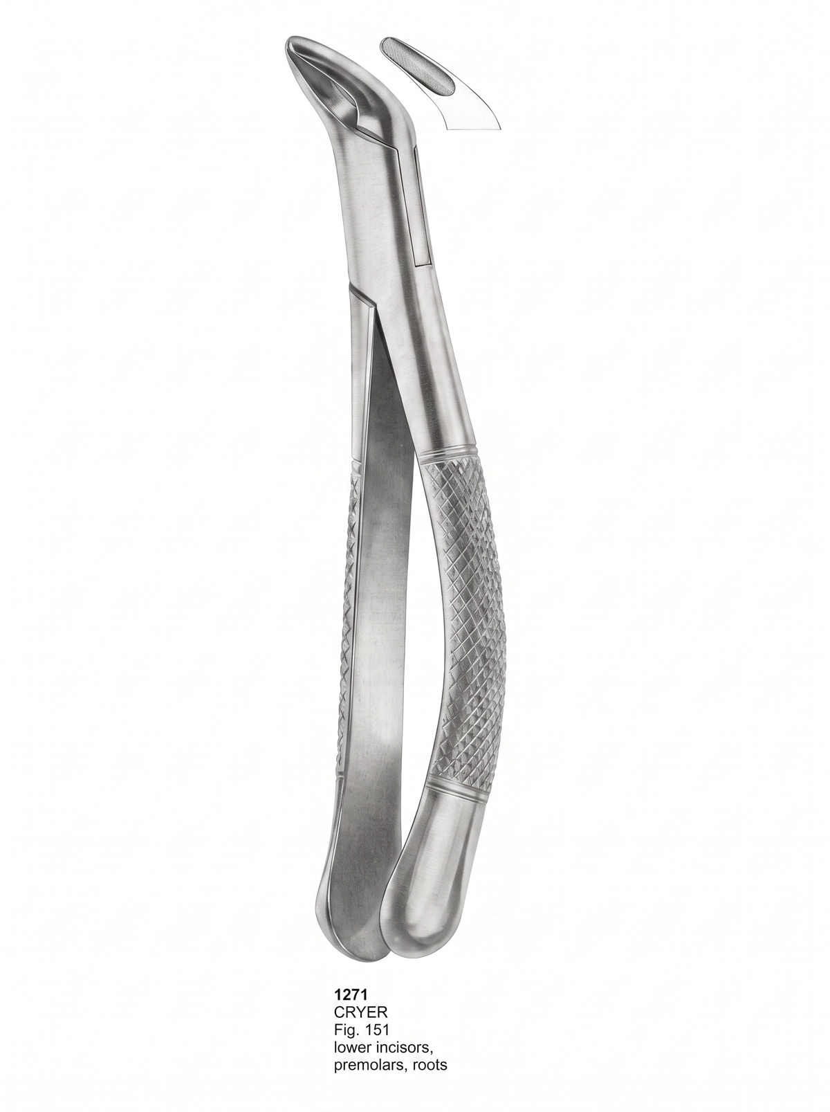 Extracting forceps American Pattern