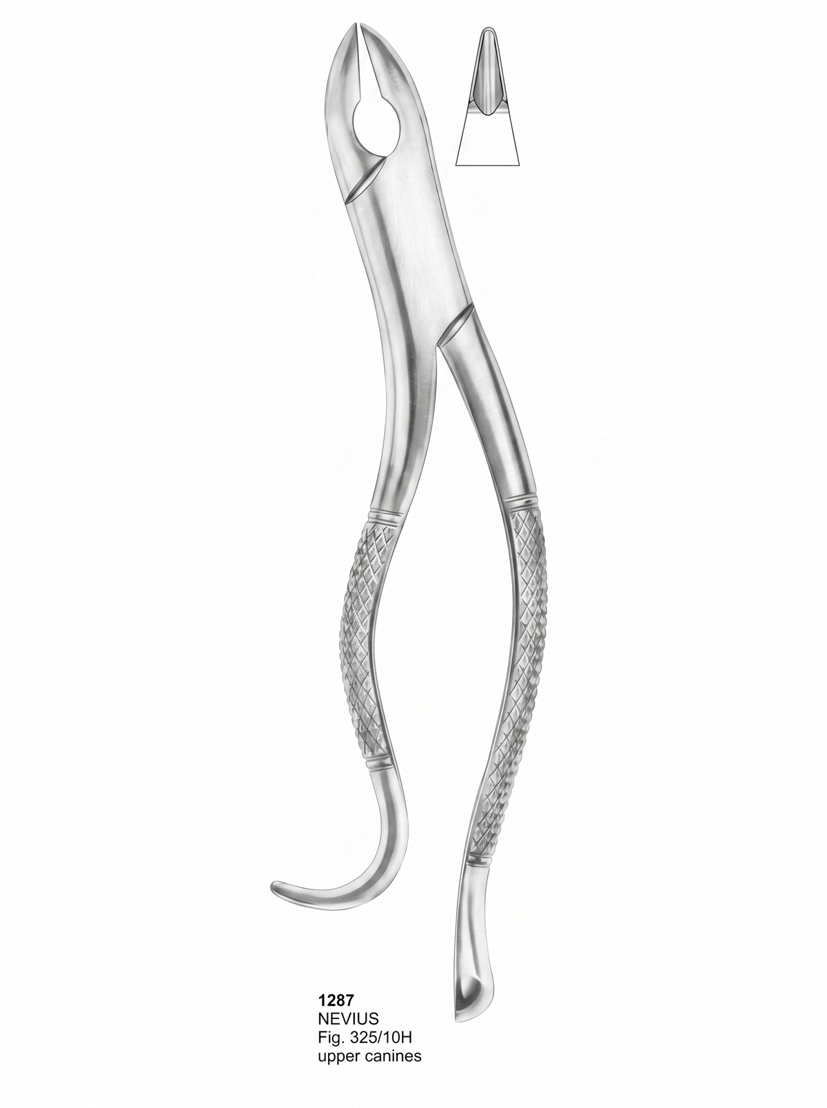 1287 Extracting forceps American Pattern