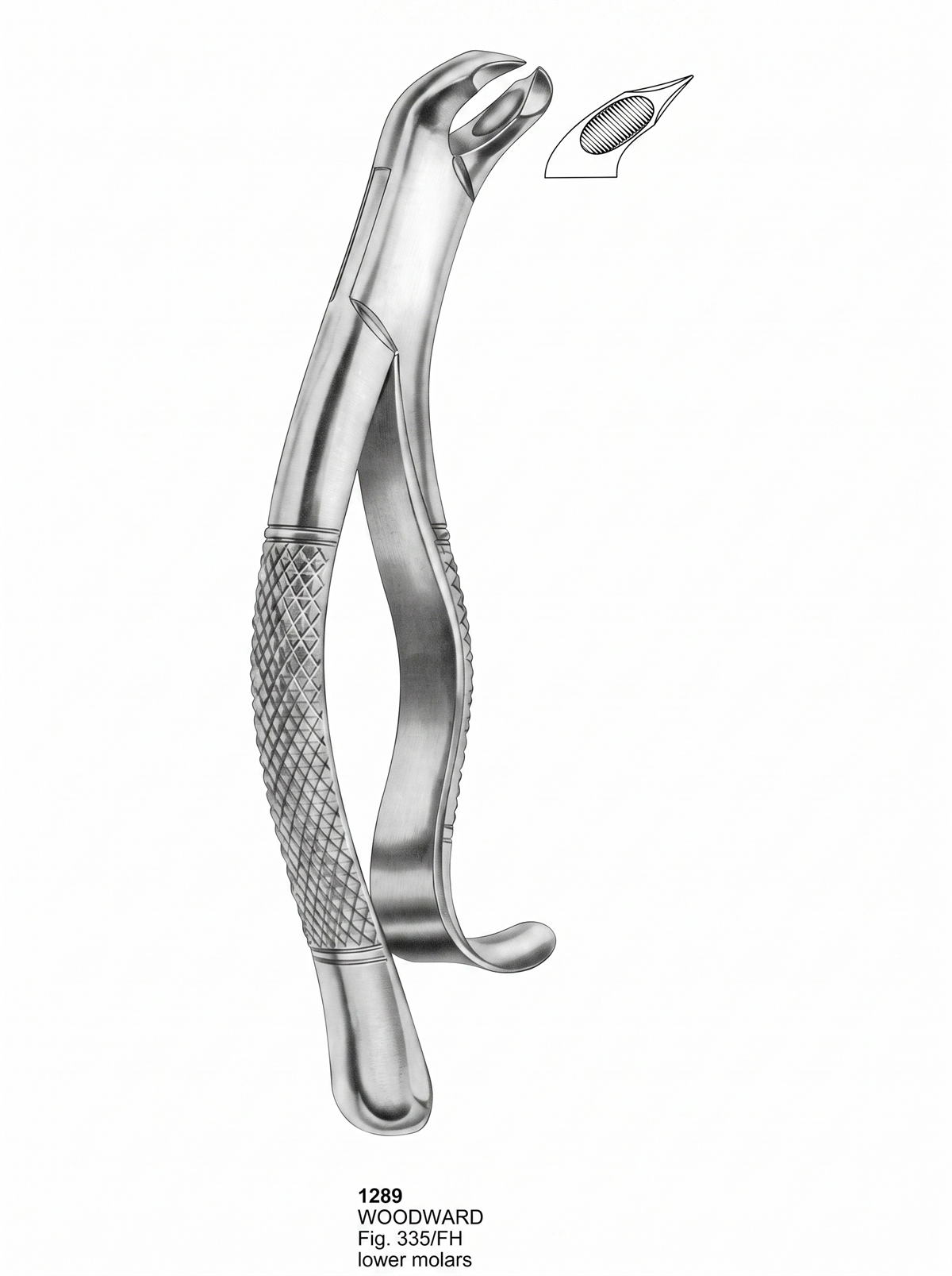 1289 Extracting forceps American Pattern