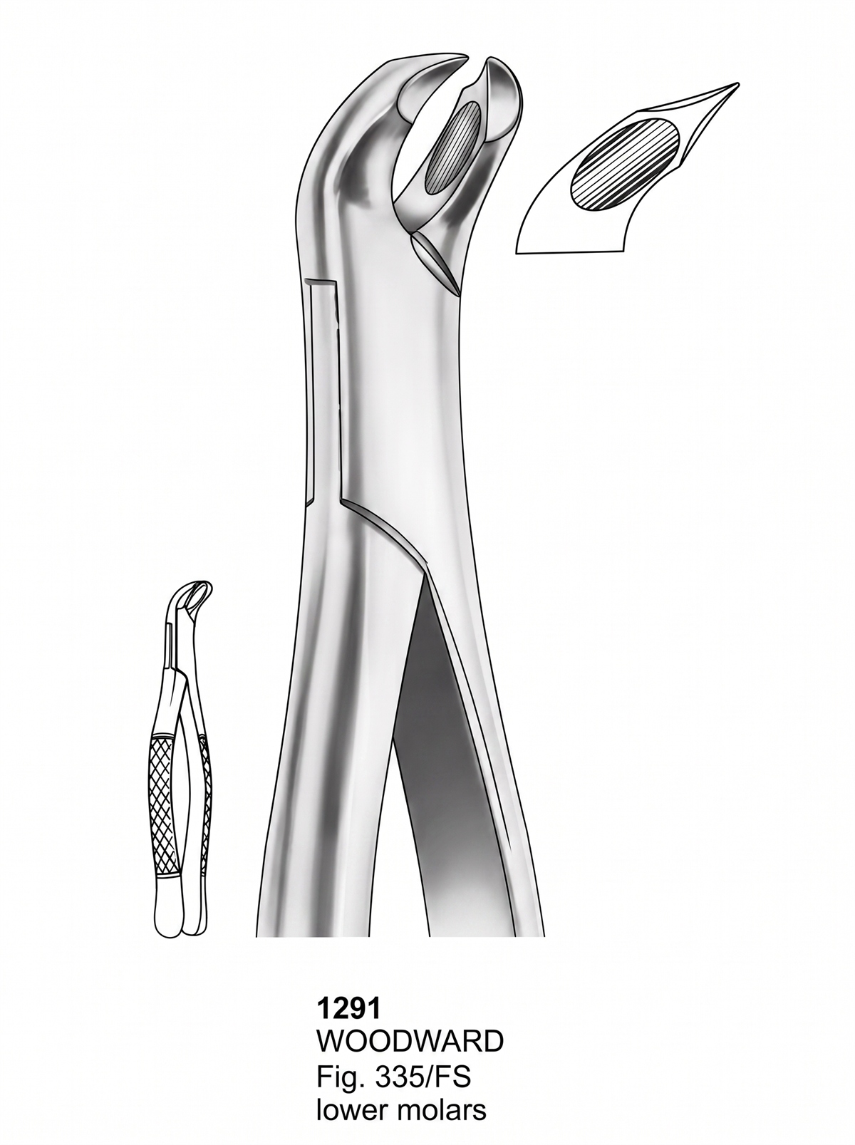 1291 Extracting forceps American Pattern