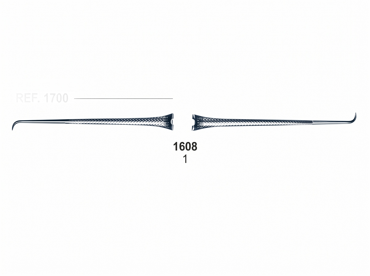 1608 Explorers