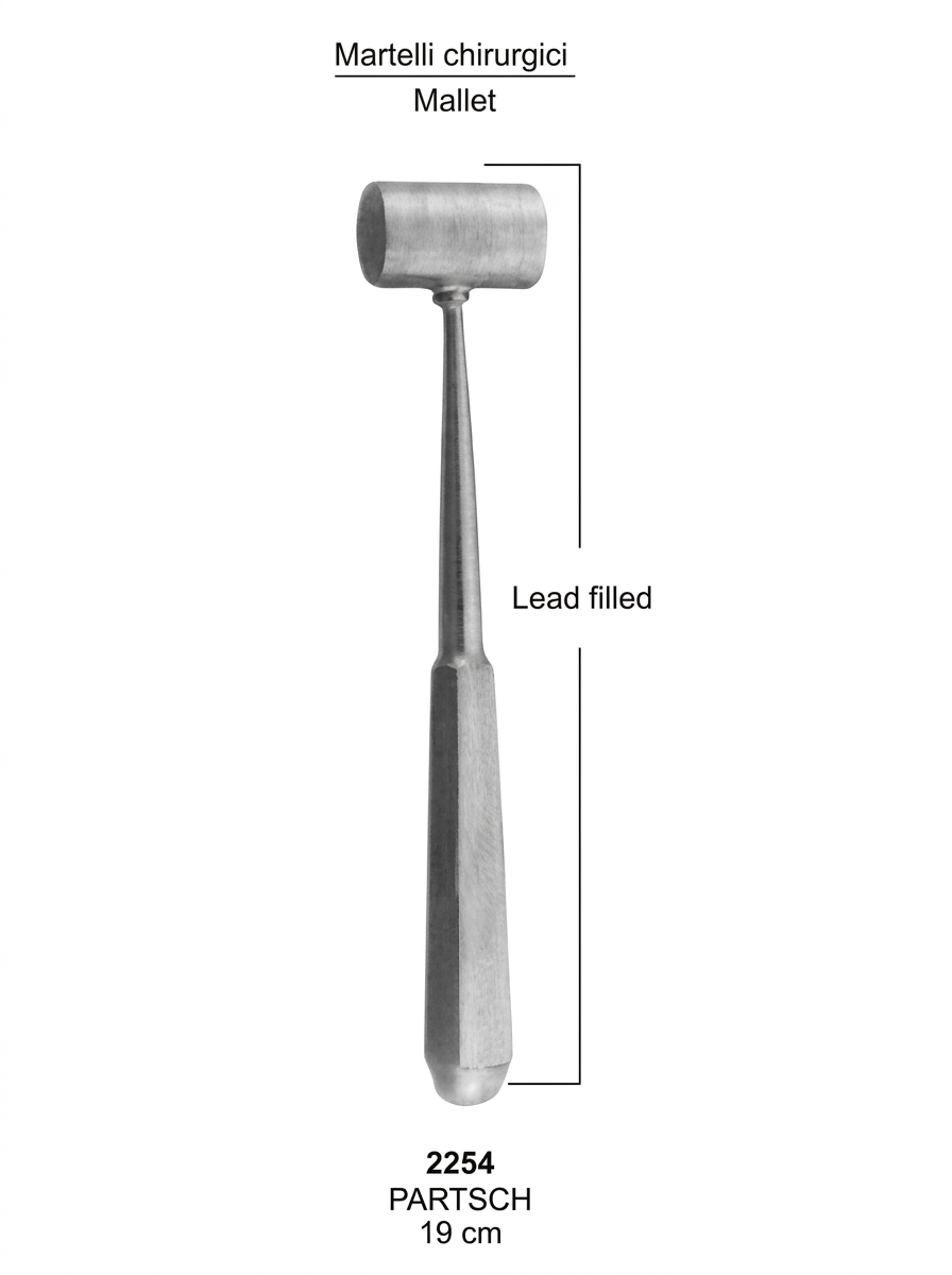 DEN-2254 Bone Chisels Bone Mallets