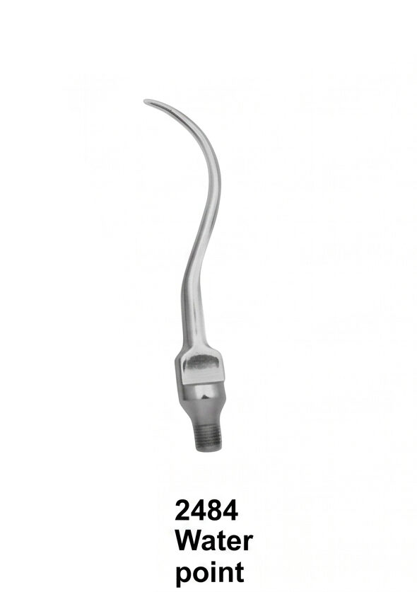 DEN-2484 Syringes