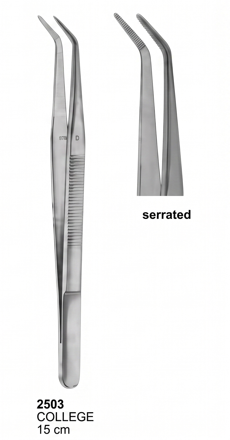 Dental Tweezers