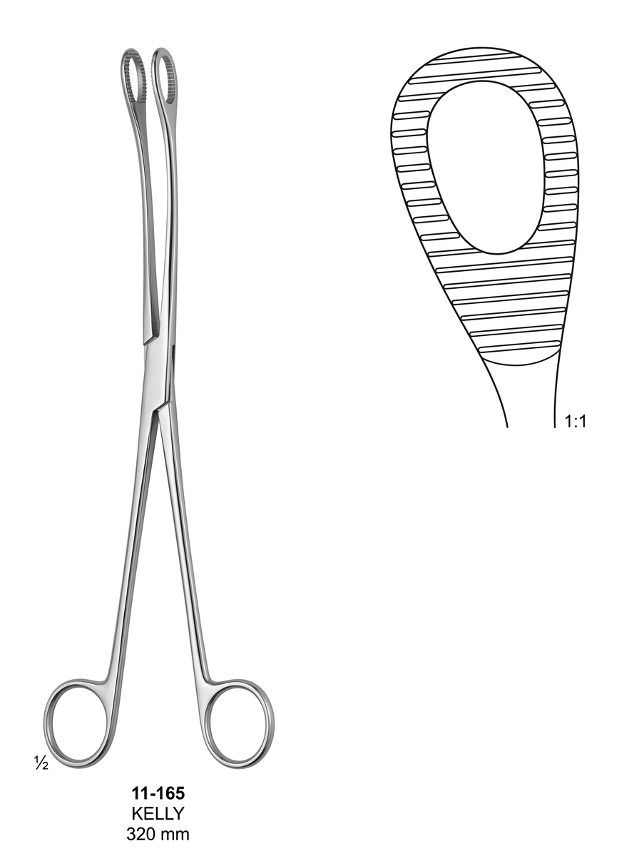 11-165 KELLY Polypus and Ovum Forceps